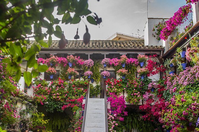 Guided Tour to the Popular Patios of Cordoba - Final Thoughts