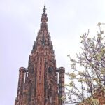 Guided Tours of Strasbourg Cathedral - Who Should Consider This Tour?