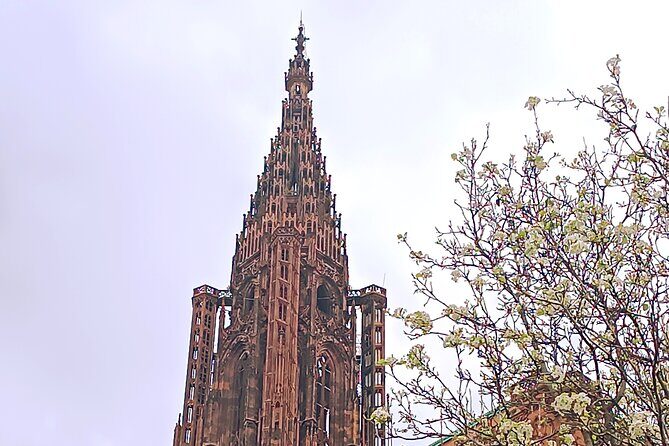 Guided Tours of Strasbourg Cathedral - Who Should Consider This Tour?