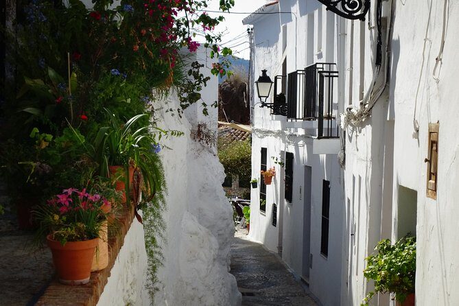 Guided Walking Tour of the Old Town of Frigiliana