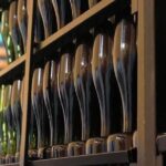 Haft-day Winery tour from Zaragoza - The Sum Up