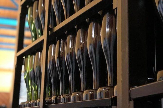 Haft-day Winery tour from Zaragoza - The Sum Up