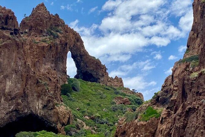 Half Day Boat Trip to Scandola Calanche de Piana - FAQ