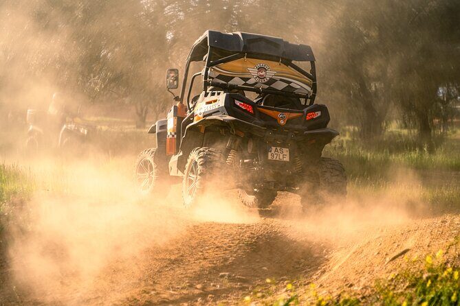 Half Day Buggy Driving and Tour in Algarve - Who Should Consider This Tour?
