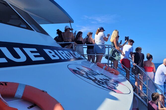 Half-Day Cruise Tour-Dolphin and Whale Watching - Who Should Consider This Tour?