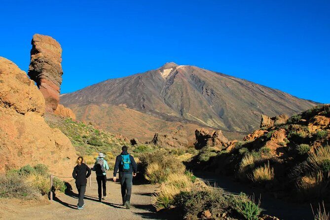 Half-day excursion to Teide National Park - In-depth Review of the Teide National Park Half-Day Tour