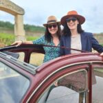 Half-day guided tour on the Burgundy wine Route in a classic car - Is This Tour Worth the Price?