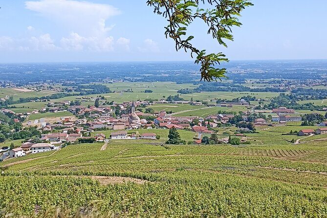 Half-Day Guided Tour with Tasting of Beaujolais Wines - FAQs