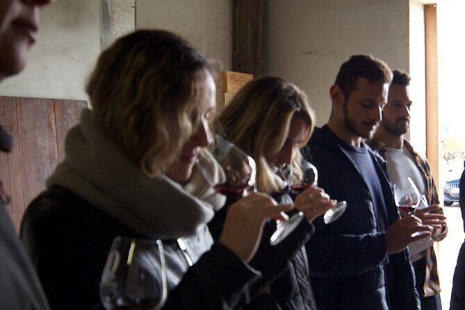 Half-Day Guided Wine Tasting Tour in Bordeaux Vineyards - What We Love and What to Keep in Mind