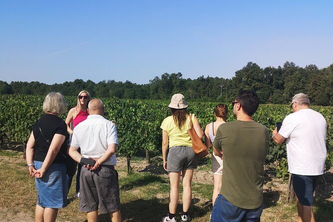 Half-day in the Médoc : 2 wineries & 6 wines - Authentic Experiences That Add Value