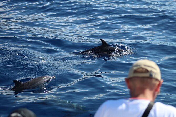 Half Day Madeira Island Cruise with Lunch - FAQ