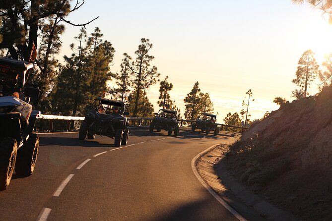 Half Day Morning Buggy Tour in Teide National Park - A Practical Look at the Half-Day Buggy Tour