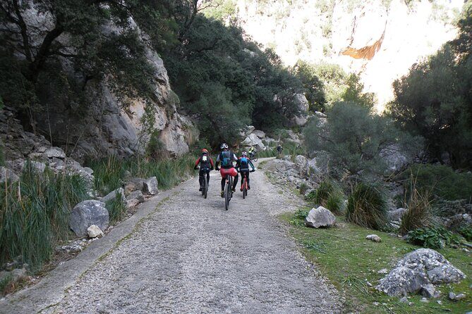 Half-Day Mountain Bike Experience to Serra de Tramuntana, - Value and Considerations