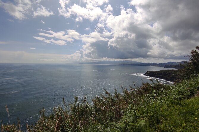Half Day Off Road Tour in Azores - Insights from Reviews