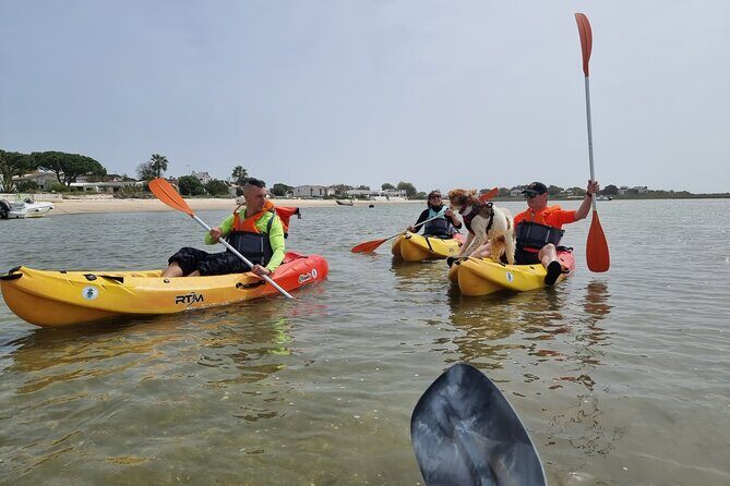 Half-Day Private Guided Kayak Island Tour - Final thoughts: The value of a private kayak tour in Faro