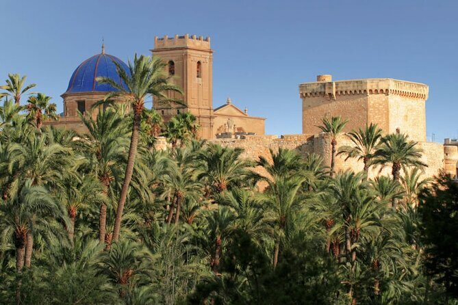 Half day private tour to Elche and Santa Pola - Santa Pola: Salt Flats, Coastline, and Coastal Views
