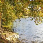 Half-Day Private Tour: Vincent Van Gogh in Auvers sur Oise - FAQs