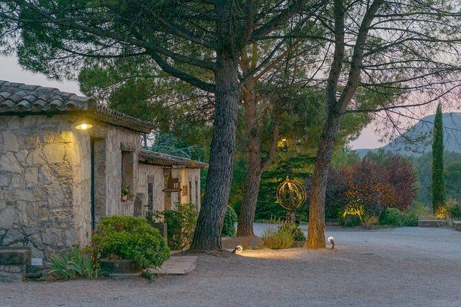 Half Day Private Wine & Oil Tasting Tour near Barcelona with hotel pick up - The Sum Up