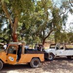Half Day Safari Tour with Wine Tasting - Who Will Love This Tour?