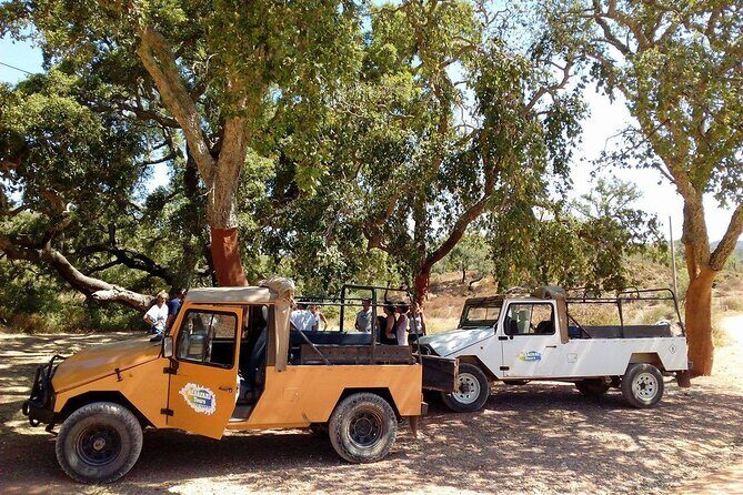 Half Day Safari Tour with Wine Tasting - Who Will Love This Tour?