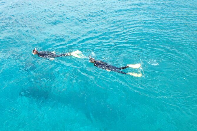 Half Day Snorkelling Experience with a dive boat in Kos Greece - Why You Should Consider This Snorkelling Trip