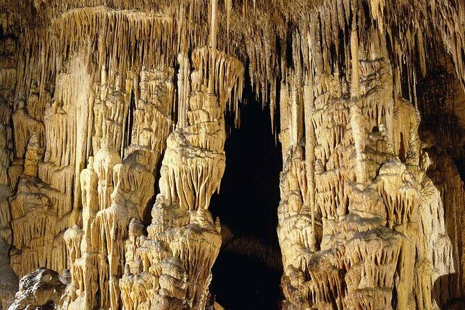 Half Day Tour Bus to the Caves of Drach - Exploring the Experience in Detail