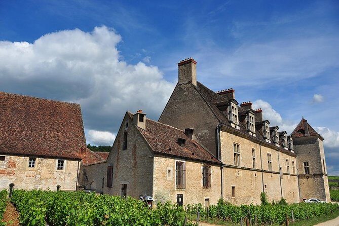 Half Day Tour of the Cote de Nuits Vineyards from Dijon - An In-depth Look at the Experience