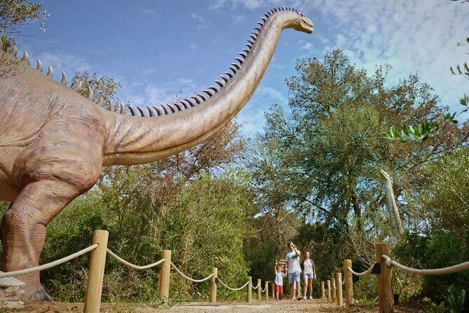 Half Day Tour to Dinosaur Land in Mallorca - FAQs