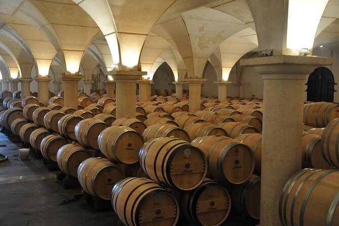 Half-day tour to Saint Emilion, a UNESCO site, with a private guide - The Guide: A Certified Sommelier