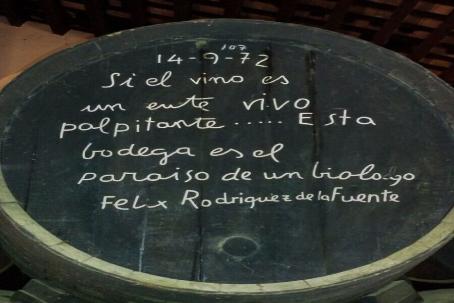 Half-Day Wine Tour in Andalusia in small group - A Closer Look at the Tour Itinerary and Highlights