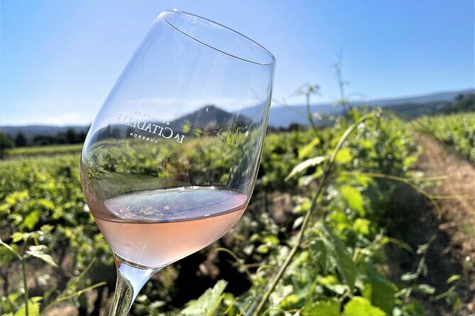 Half day Wine Tour in Bandol & Cassis from Aix en Provence - Authenticity, Views, and Guidance: Why This Tour Shines