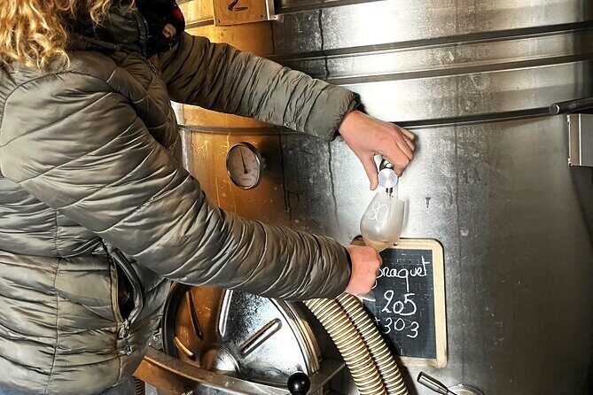Half day Wine Tour in Côteaux Aix from Aix en Provence - Wine Tastings at the First Winery