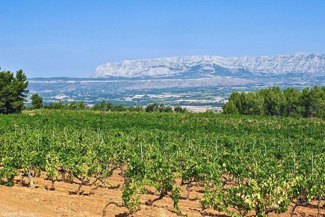 Half day Wine Tour in Côtes de Provence Sainte-Victoire from Aix en Provence - The Value of the Experience
