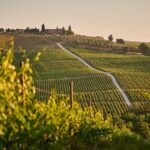 Haro, Laguardia and two Rioja wineries from Bilbao - What Makes This Tour Stand Out?