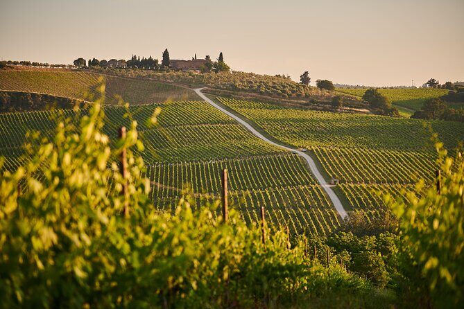 Haro, Laguardia and two Rioja wineries from Bilbao - What Makes This Tour Stand Out?