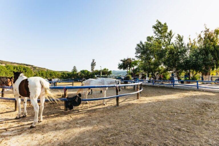 Heraklion: Finikia Horse Riding Tour with Lunch or Dinner - A Deep Dive into the Finikia Horse Riding Tour