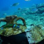 Heraklion: Scuba Diving Experience for Beginners - Why This Scuba Experience in Crete Stands Out