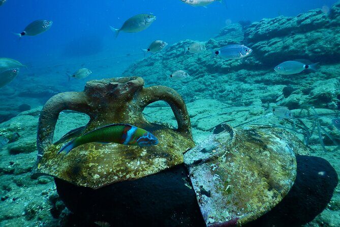 Heraklion: Scuba Diving Experience for Beginners - Why This Scuba Experience in Crete Stands Out