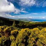 Hidden Gems of Sao Miguel Island Full Day Tour with Lunch - Who Would Love This Tour?
