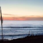 Highlights & Culinary Kickstart of Ericeira | PRIVATE Tour - Why This Tour Offers Real Value