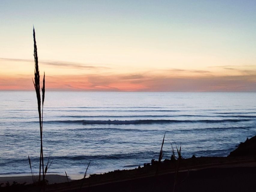Highlights & Culinary Kickstart of Ericeira | PRIVATE Tour - Why This Tour Offers Real Value