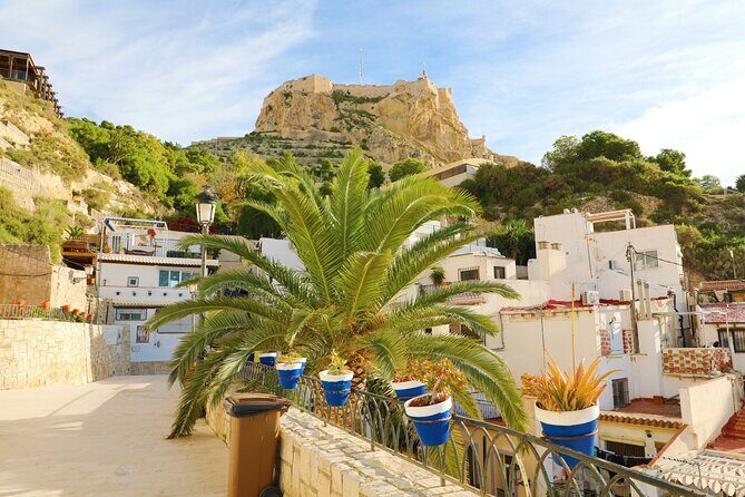 Highlights & Hidden Gems With Locals: Best of Alicante Private Tour - What Makes It Special?