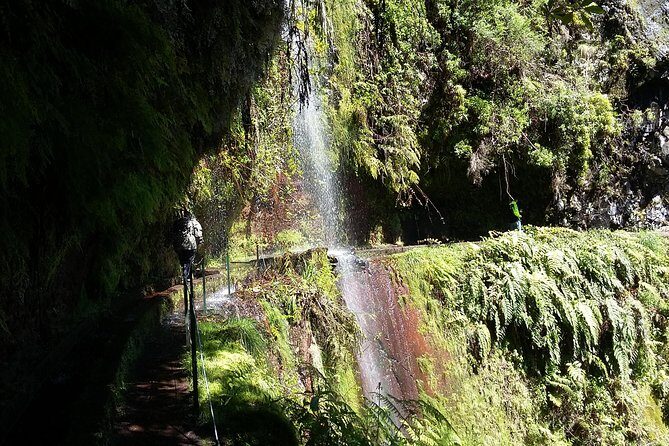 Hike in Laurisilva Levada do Rei - Madre of Life small Group guided walk - A Deep Dive into the Laurisilva Levada do Rei Experience