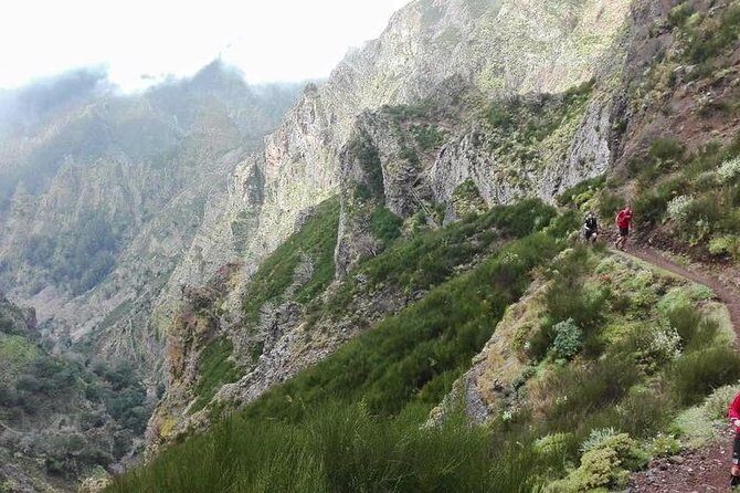 Hike Larano, Boca do Risco Porto da Cruz Levada in a small group - A Detailed Look at What Makes This Tour Special