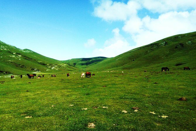 Hike the heart of the Basque country - Circular Route with Spectacular Views and a Mini Yoga Session