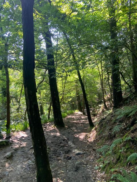 Hike Ulia | San Sebastian: El Camino de Santiago (The Way) - Who Will Enjoy This Tour?