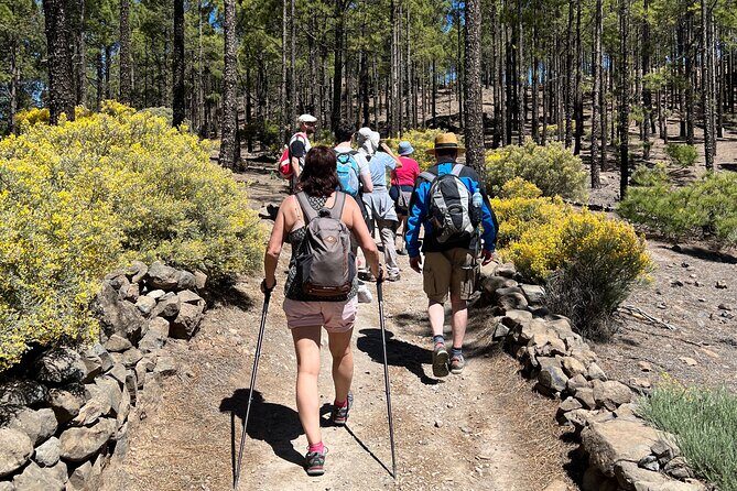 Hikes Roque Nublo - Who Should Book This Tour?