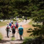 Hiking above Kalamata - In-Depth Review of the Hiking above Kalamata Tour