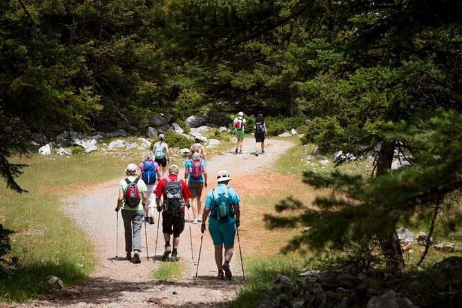 Hiking above Kalamata - In-Depth Review of the Hiking above Kalamata Tour
