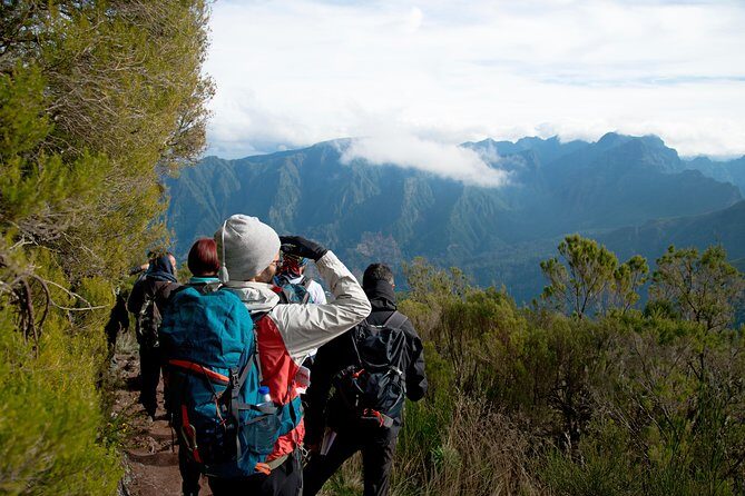 Hiking and Trekking tours in Madeira - What You Can Expect on the Trail